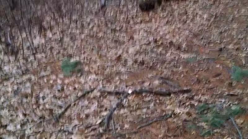 Walter S. Commerdinger, Jr. County Park - Nesconset, NY