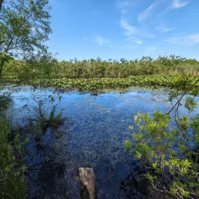 Walter S. Commerdinger, Jr. County Park - Nesconset, NY