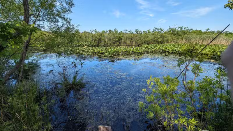 Walter S. Commerdinger, Jr. County Park - Nesconset, NY