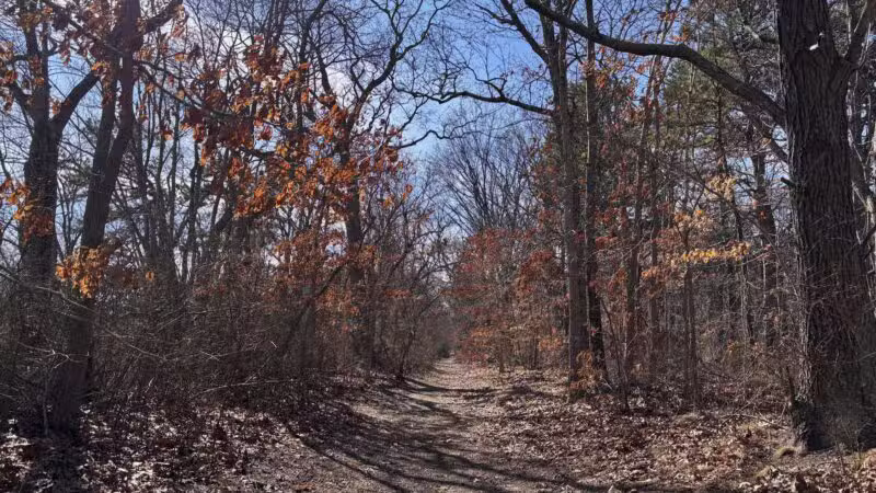 Walter S. Commerdinger, Jr. County Park - Nesconset, NY