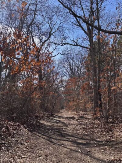 Walter S. Commerdinger, Jr. County Park - Nesconset, NY