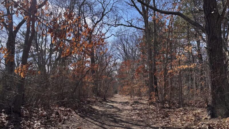 Walter S. Commerdinger, Jr. County Park - Nesconset, NY