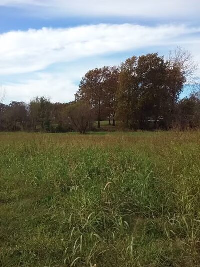 Marmaduke Park - Nevada, MO