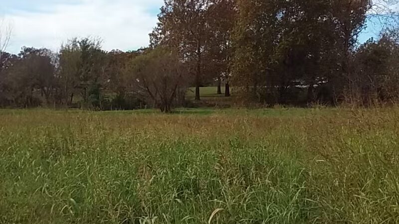 Marmaduke Park - Nevada, MO