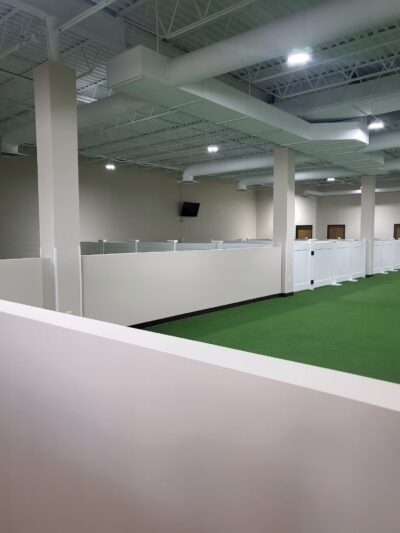 Stay and Play Indoor Dog Park, LLC - New Castle, PA