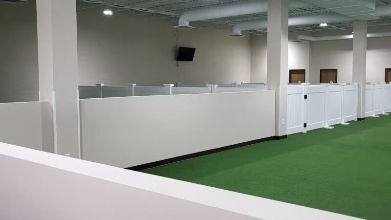 Stay and Play Indoor Dog Park, LLC - New Castle, PA