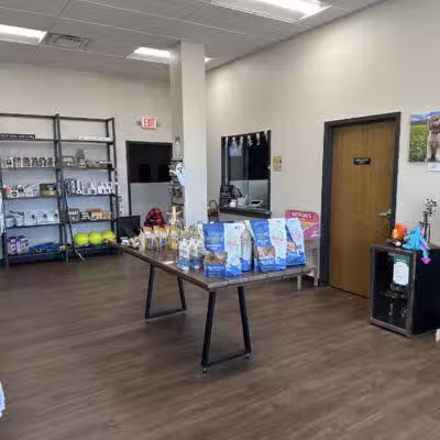 Stay and Play Indoor Dog Park, LLC - New Castle, PA