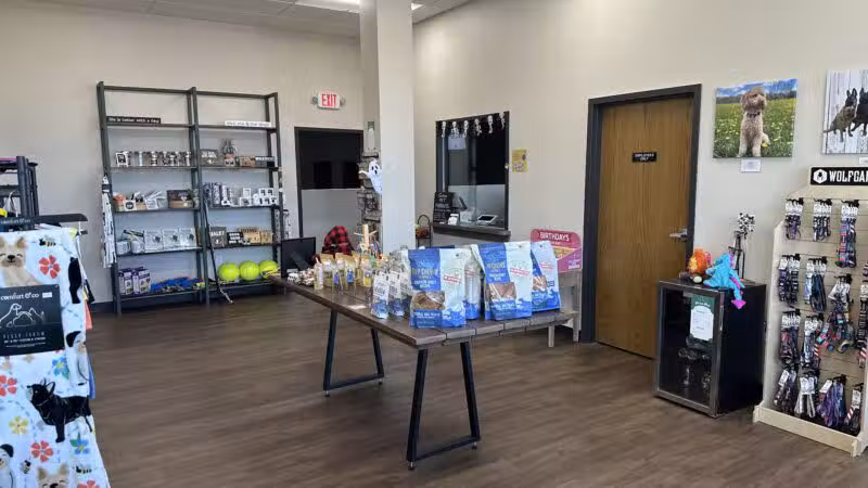 Stay and Play Indoor Dog Park, LLC - New Castle, PA