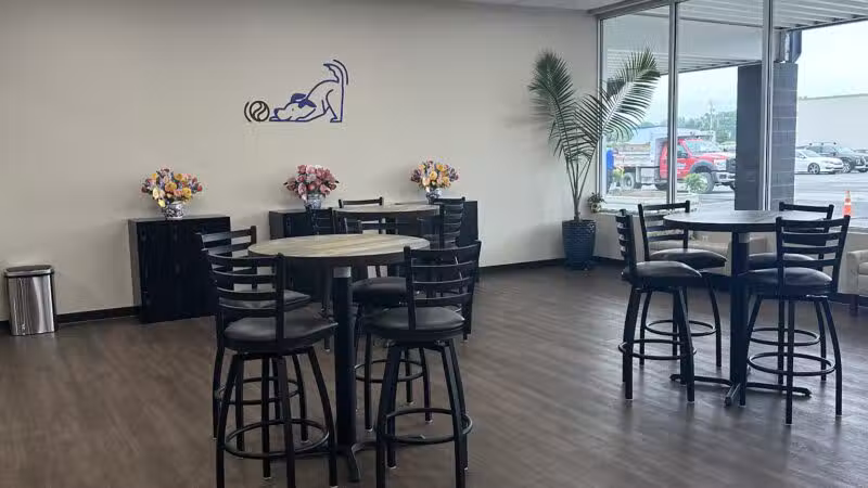 Stay and Play Indoor Dog Park, LLC - New Castle, PA