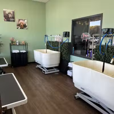 Stay and Play Indoor Dog Park, LLC - New Castle, PA