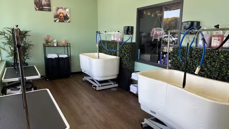 Stay and Play Indoor Dog Park, LLC - New Castle, PA