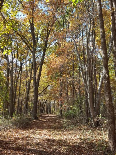 Arlington Ernst Park - New Freedom, PA