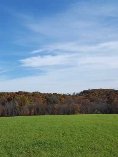 Arlington Ernst Park - New Freedom, PA