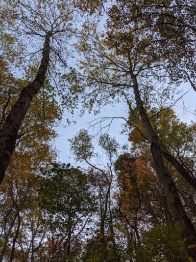 Arlington Ernst Park - New Freedom, PA