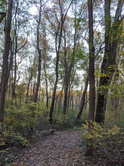 Arlington Ernst Park - New Freedom, PA