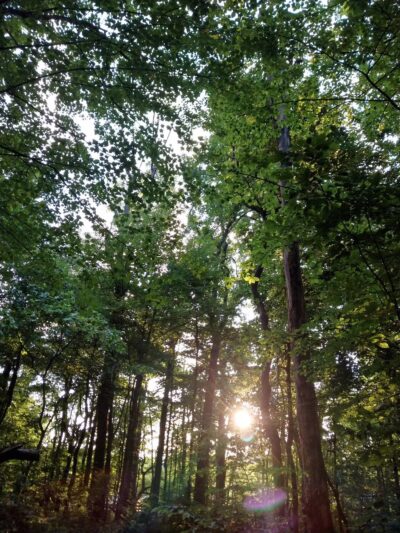 Arlington Ernst Park - New Freedom, PA