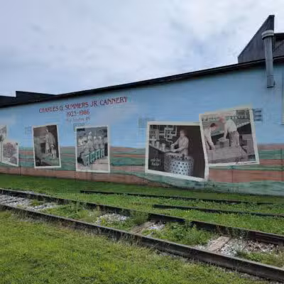 Rail Trail- New Freedom - New Freedom, PA