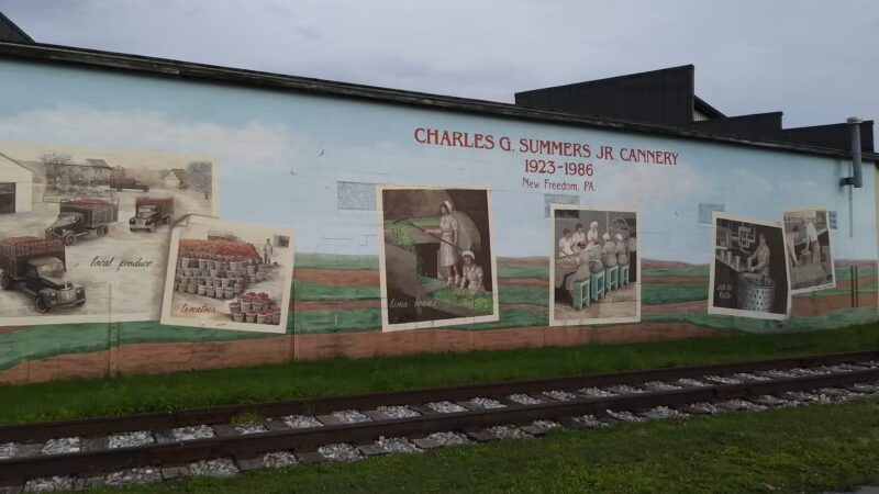 Rail Trail- New Freedom - New Freedom, PA