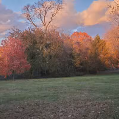Middletown Ave Park - New Haven, CT