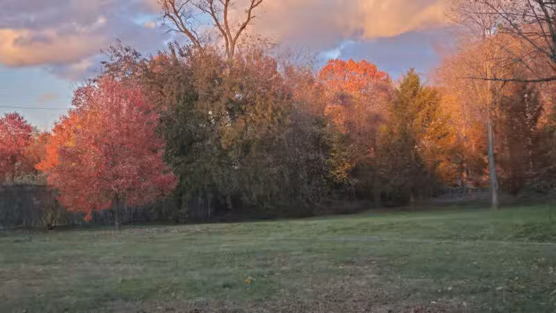 Middletown Ave Park - New Haven, CT