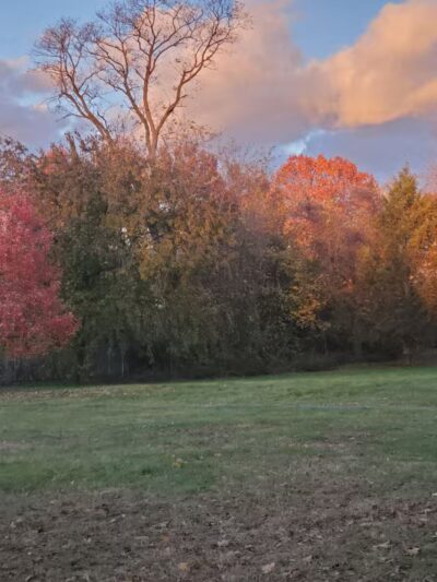 Middletown Ave Park - New Haven, CT