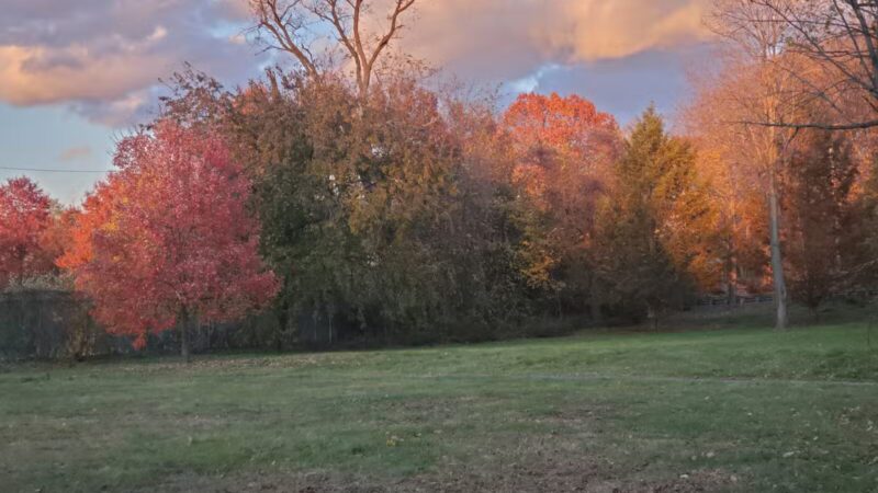 Middletown Ave Park - New Haven, CT