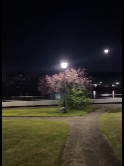 Quinnipiac River Park - New Haven, CT