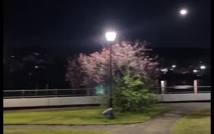 Quinnipiac River Park - New Haven, CT