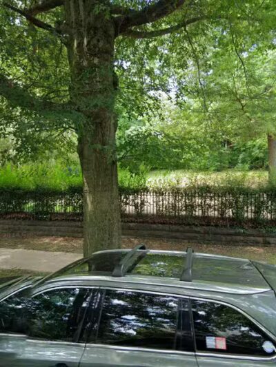 St. Ronan Dog Park - New Haven, CT