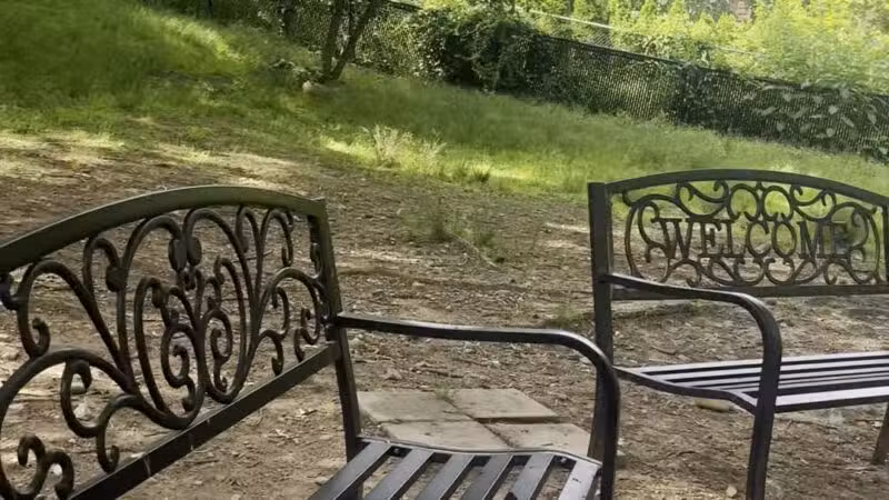 St. Ronan Dog Park - New Haven, CT