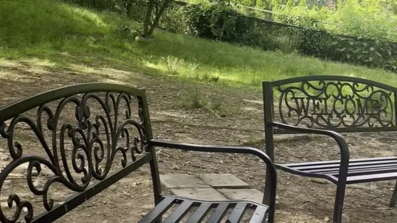 St. Ronan Dog Park - New Haven, CT