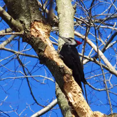 Sunny Valley Preserve - New Milford, CT