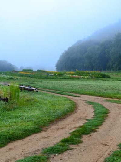 Sunny Valley Preserve - New Milford, CT