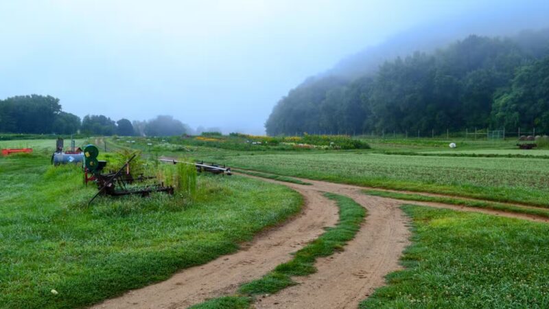 Sunny Valley Preserve - New Milford, CT