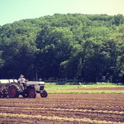 Sunny Valley Preserve - New Milford, CT