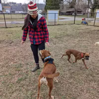 Elko Memorial Dog Park - New Richmond, OH