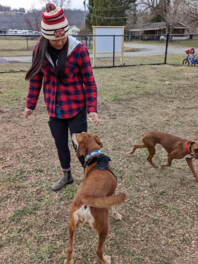 Elko Memorial Dog Park - New Richmond, OH