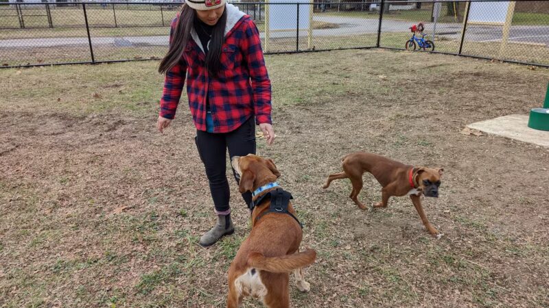 Elko Memorial Dog Park - New Richmond, OH