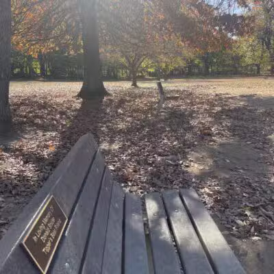 Dog park - New Rochelle, NY