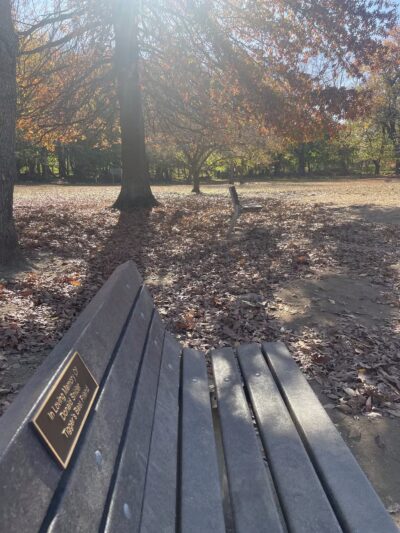 Dog park - New Rochelle, NY