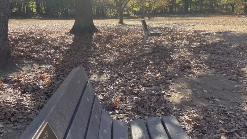 Dog park - New Rochelle, NY