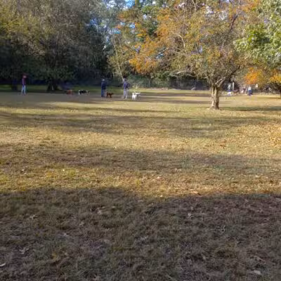 Dog park - New Rochelle, NY