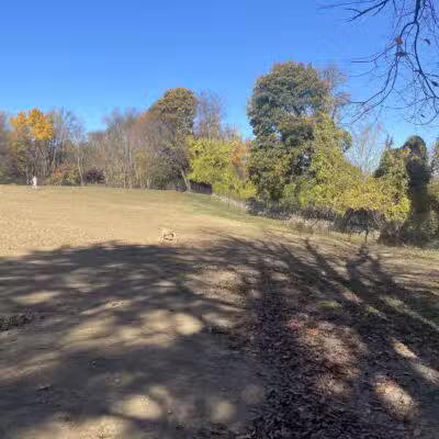 Dog park - New Rochelle, NY