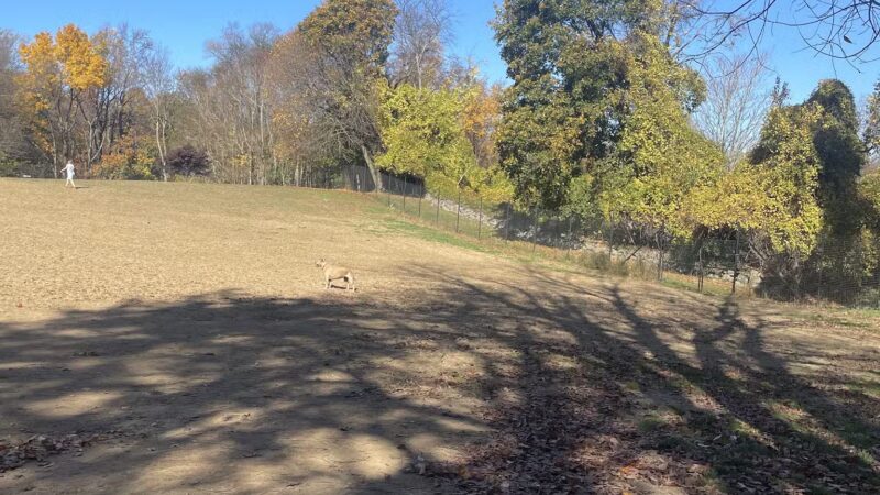 Dog park - New Rochelle, NY