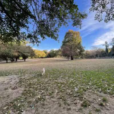 Ward Acres Park - New Rochelle, NY
