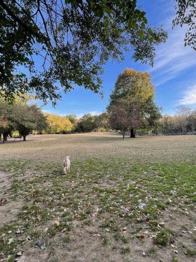 Ward Acres Park - New Rochelle, NY
