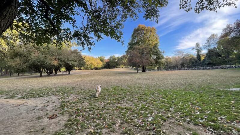 Ward Acres Park - New Rochelle, NY