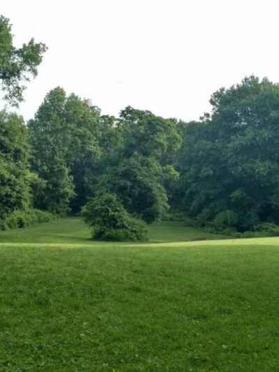 Ward Acres Park - New Rochelle, NY