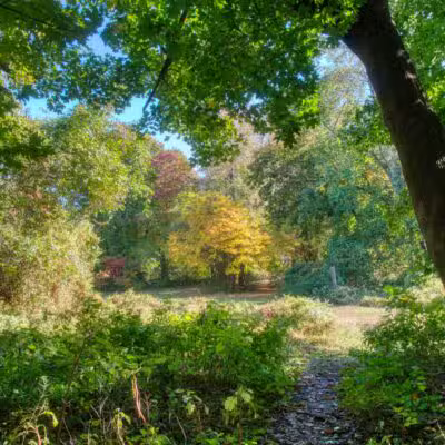 Ward Acres Park - New Rochelle, NY