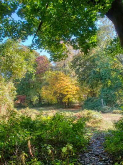 Ward Acres Park - New Rochelle, NY